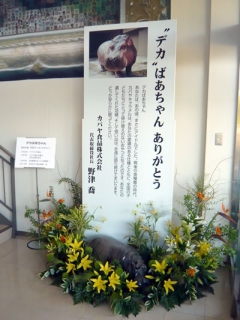 kabako02blog.jpg