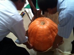 kabotya2010no4.jpg