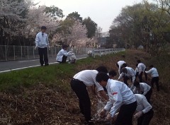 sakurafes20100406no12.jpg