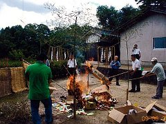 tanabata090807no3.jpg