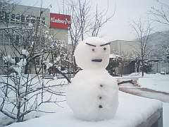080121雪化粧2.jpg