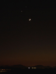 kinmokutuki20081201.jpg