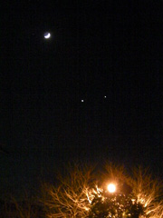 kinmokutuki20081202.jpg