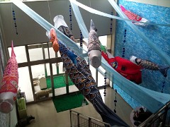 koinobori201004no1.jpg
