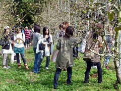 kumiaitrip201010no1.jpg