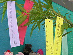 tanzaku200807no1.jpg