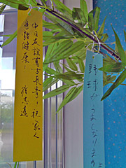 tanzaku200807no2.jpg