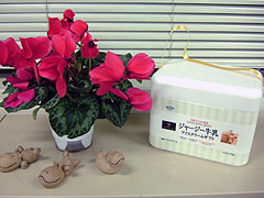 xmasice2007#2.jpg